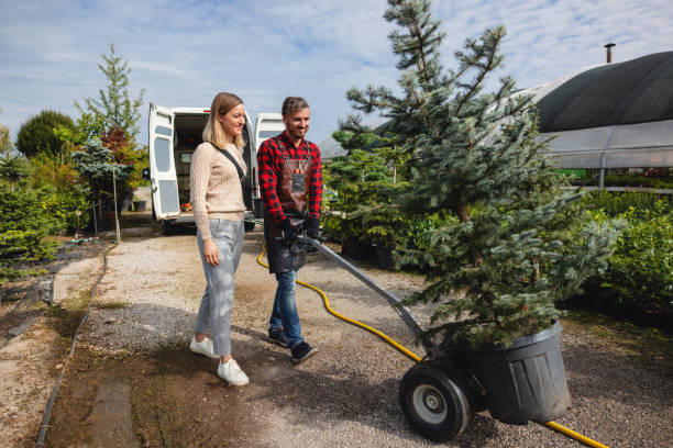 Tree and Shrub Care in Mancelona, MI